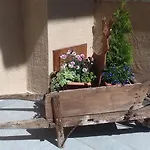 B&B Petit
